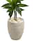 4ft. Dracaena Plant in Sand Colored Planter
